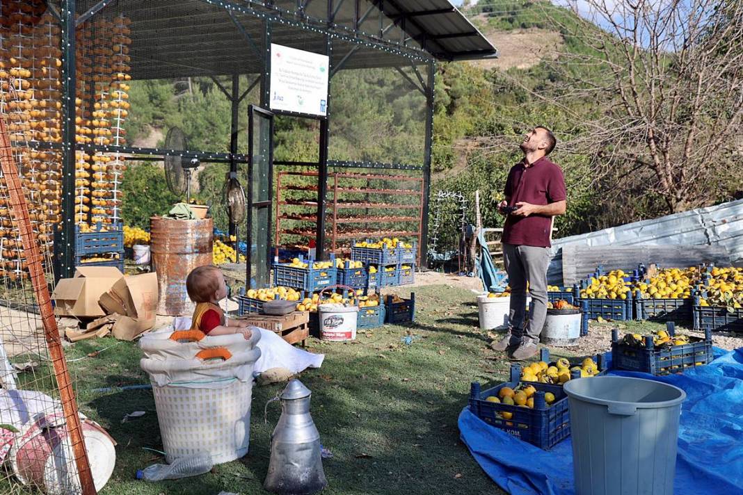 Bu meyvenin yaş kilosu 20 TL, kuru kilosu 200 TL! O köyün en büyük geçim kaynağı 6